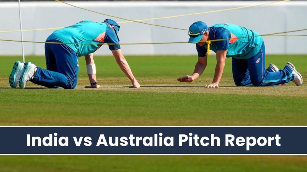 India vs Australia Pitch Report in Hindi | इंडिया वर्सेस ऑस्ट्रेलिया पिच रिपोर्ट जानिए